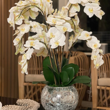 Orchids in Crackled Mirror Vase