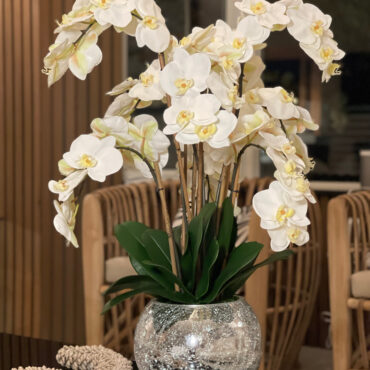 Orchids in Crackled Mirror Vase