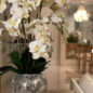 Orchids in Crackled Mirror Vase