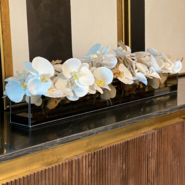 36″ Casa Moderna Black Tinted Glass Plate Planter with white Phalaenopsis orchids