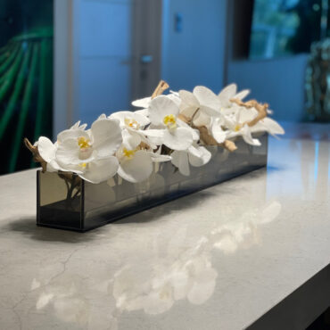 36″ Casa Moderna Black Tinted Glass Plate Planter with white Phalaenopsis orchids