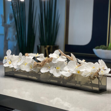 36″ Casa Moderna Black Tinted Glass Plate Planter with white Phalaenopsis orchids