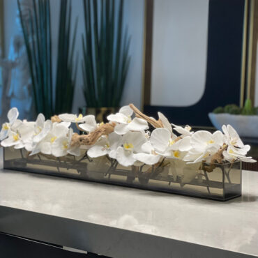 36″ Casa Moderna Black Tinted Glass Plate Planter with white Phalaenopsis orchids