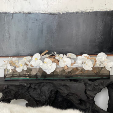 36″ Casa Moderna Black Tinted Glass Plate Planter with white Phalaenopsis orchids