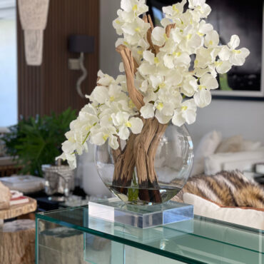 16″ Moon Vase with White Vanda Orchids