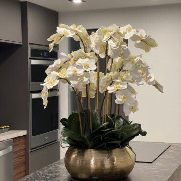 White Phalaenopsis Orchids In Gold Metal Bowie Bowl