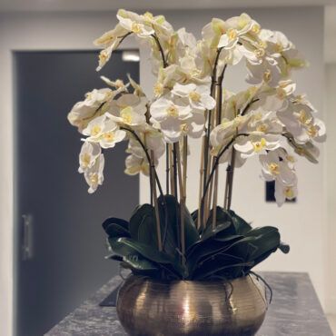 White Phalaenopsis Orchids In Gold Metal Bowie Bowl