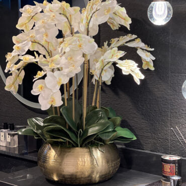 White Phalaenopsis Orchids In Gold Metal Bowie Bowl