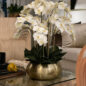 White Phalaenopsis Orchids In Gold Metal Bowie Bowl