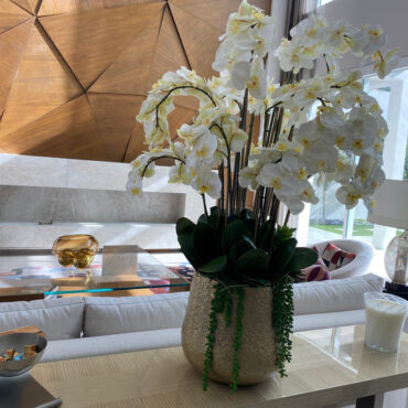 Delaney Gold Pot with Multiple Stems of Phalaenopsis Orchids and Succulents