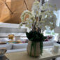 Delaney Gold Pot with Multiple Stems of Phalaenopsis Orchids and Succulents