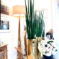 Prism Octagon Planter with Snake Grass