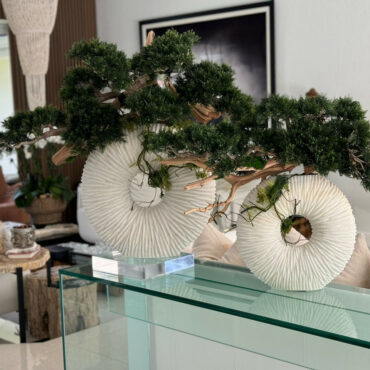 Medium Eternity Vase with Trailing Bonsai Tree and Driftwood
