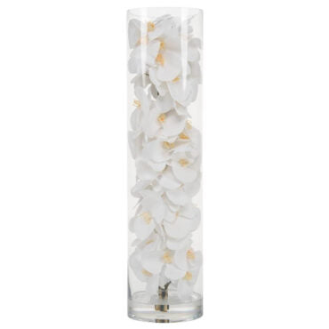 Glass Cylinder With White Phalaenopsis Orchids