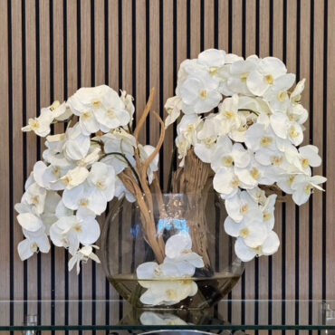 16″ Moon vase with white orchids