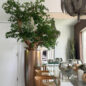 Artificial Black Olive Bonsai Tree in Gold Revolver Planter