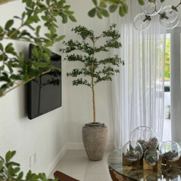 Parthenon Planter with 7′ Shady Lady Tree